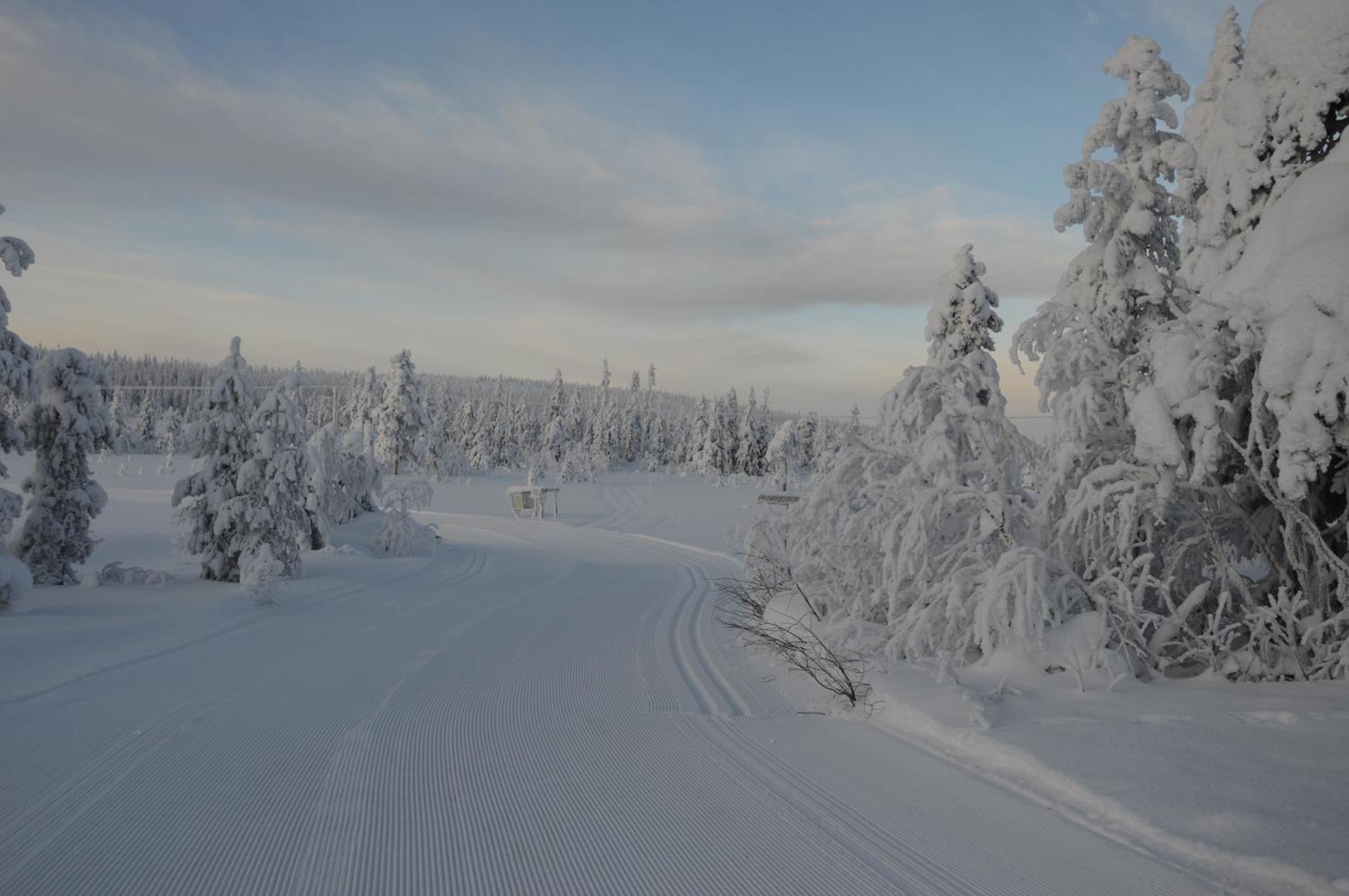 16 - Fulufjellets Nasjonalparker - Natur-, Dyre- Og Fugleopplevelser Ljørdal Esterno foto
