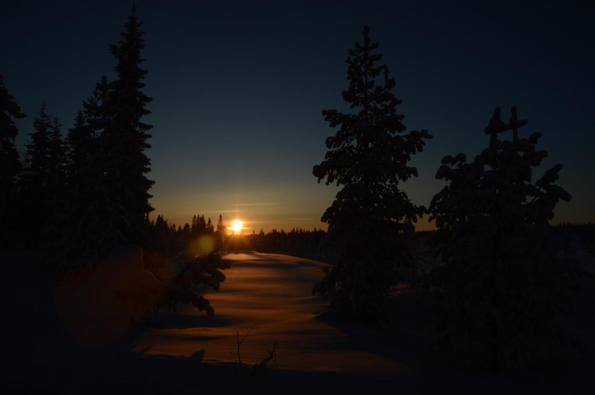 16 - Fulufjellets Nasjonalparker - Natur-, Dyre- Og Fugleopplevelser Ljørdal Esterno foto
