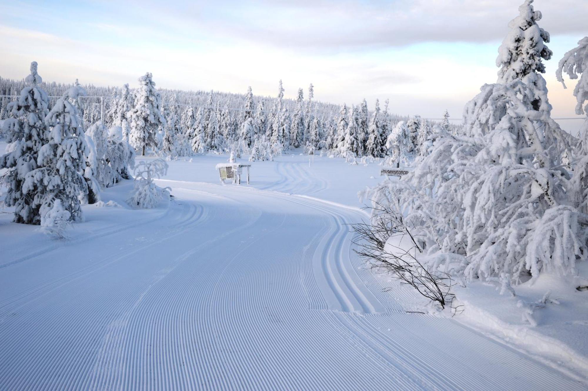16 - Fulufjellets Nasjonalparker - Natur-, Dyre- Og Fugleopplevelser Ljørdal Esterno foto