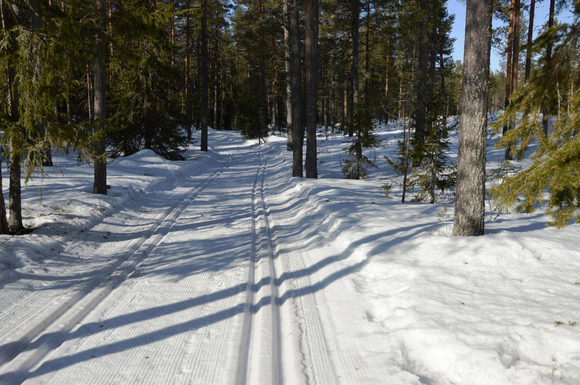 16 - Fulufjellets Nasjonalparker - Natur-, Dyre- Og Fugleopplevelser Ljørdal Esterno foto