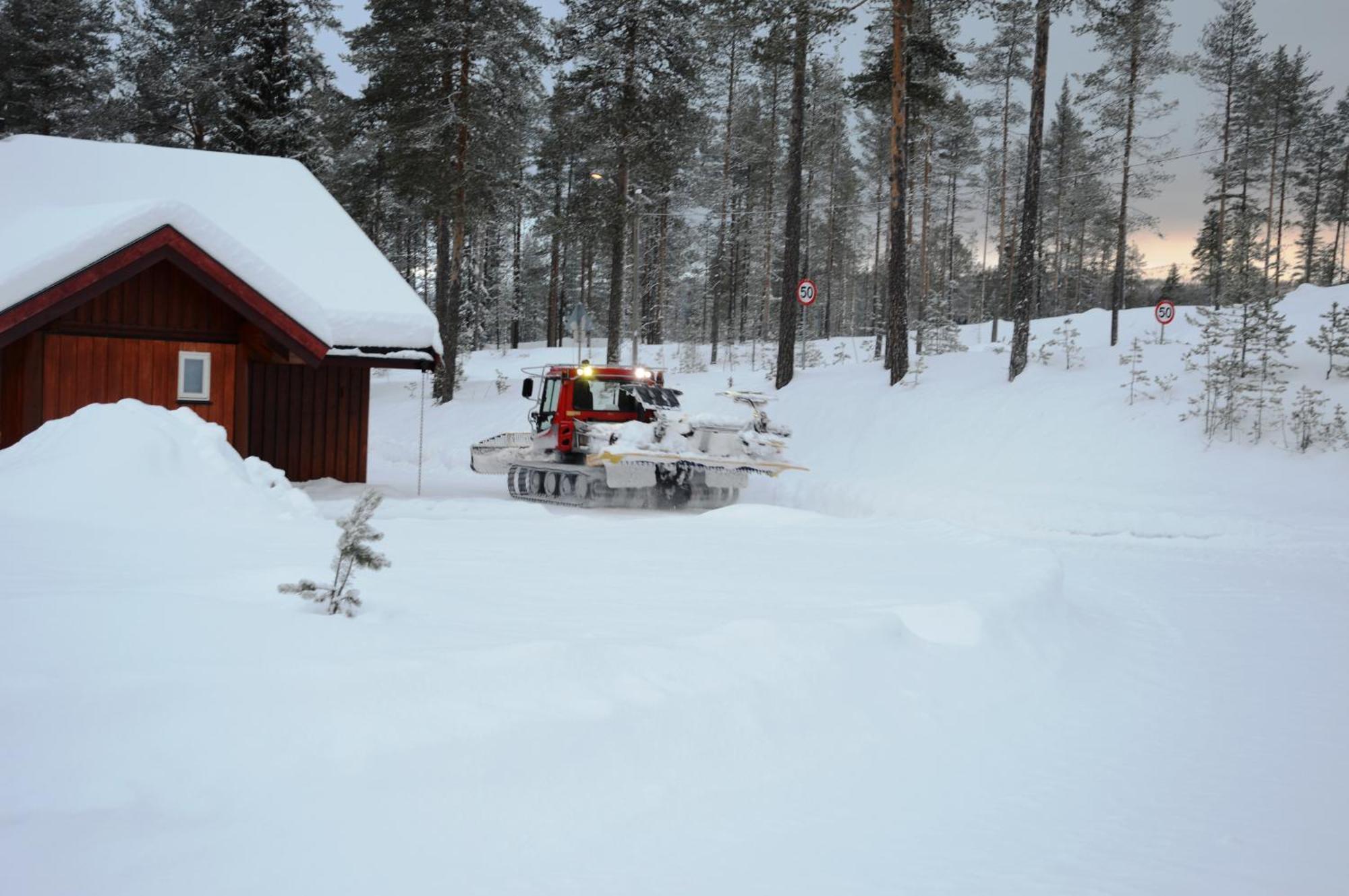 16 - Fulufjellets Nasjonalparker - Natur-, Dyre- Og Fugleopplevelser Ljørdal Esterno foto
