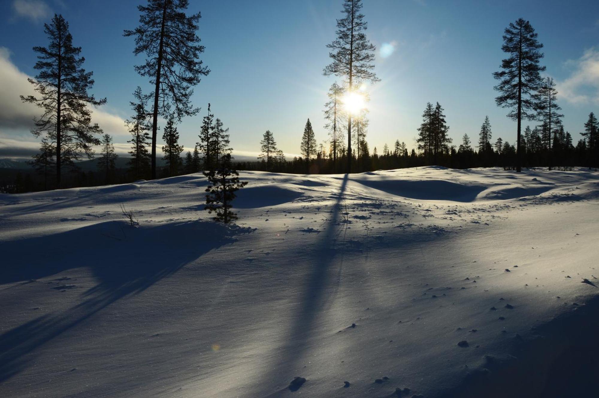 16 - Fulufjellets Nasjonalparker - Natur-, Dyre- Og Fugleopplevelser Ljørdal Esterno foto