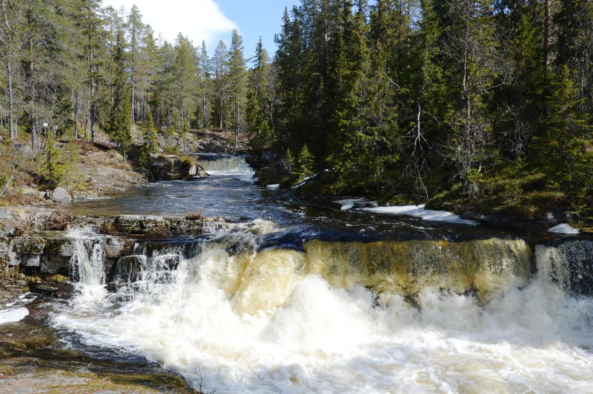 16 - Fulufjellets Nasjonalparker - Natur-, Dyre- Og Fugleopplevelser Ljørdal Esterno foto
