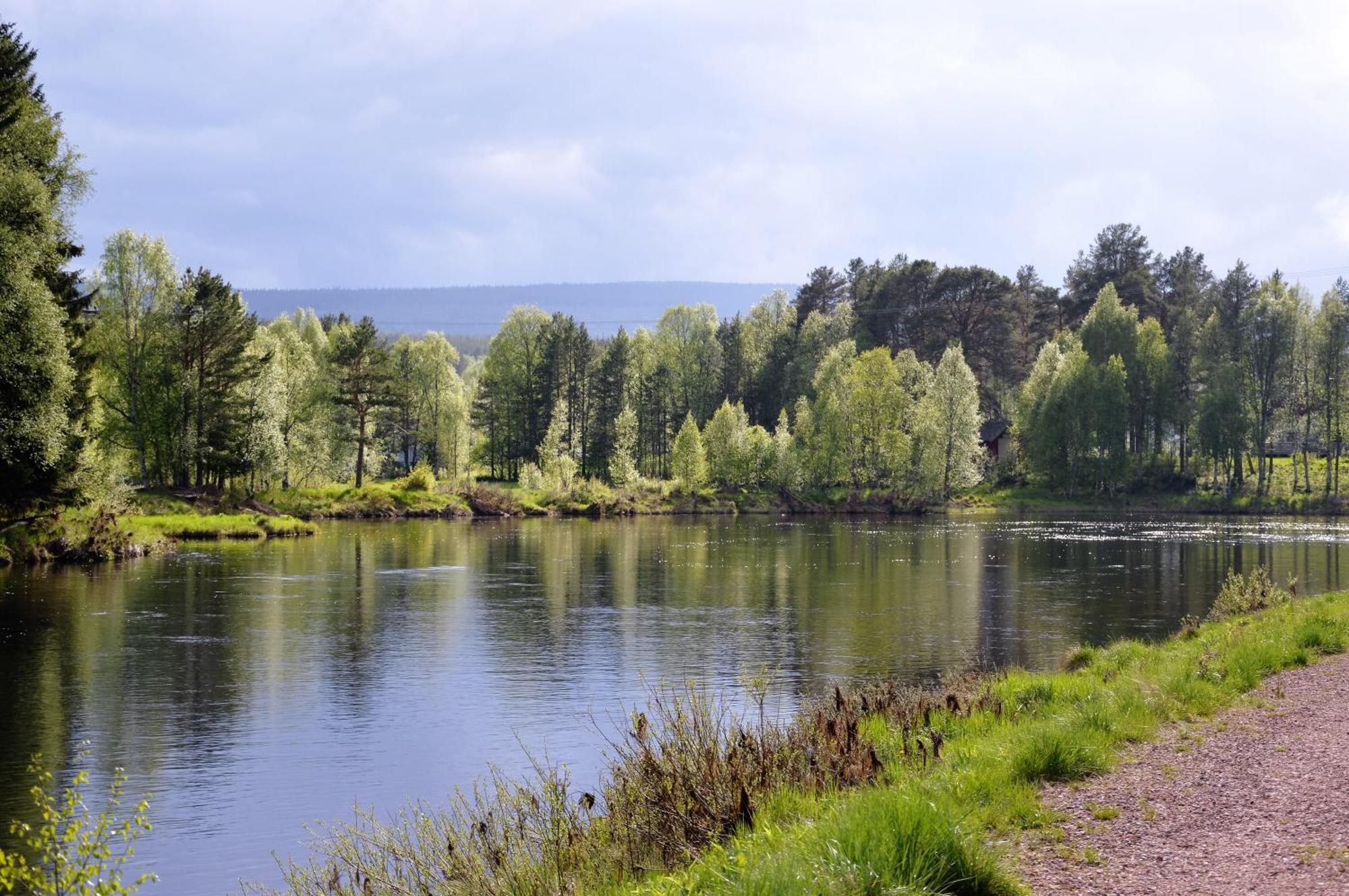 16 - Fulufjellets Nasjonalparker - Natur-, Dyre- Og Fugleopplevelser Ljørdal Esterno foto
