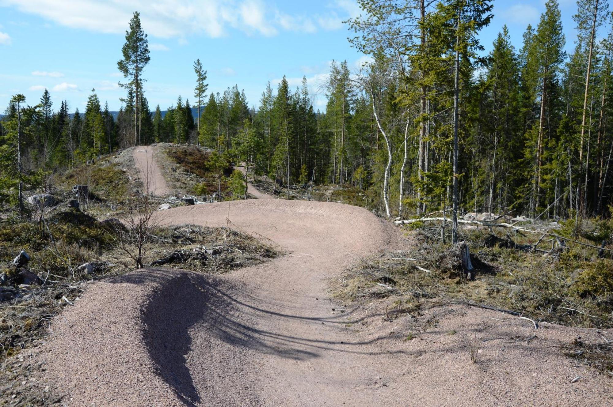 16 - Fulufjellets Nasjonalparker - Natur-, Dyre- Og Fugleopplevelser Ljørdal Esterno foto