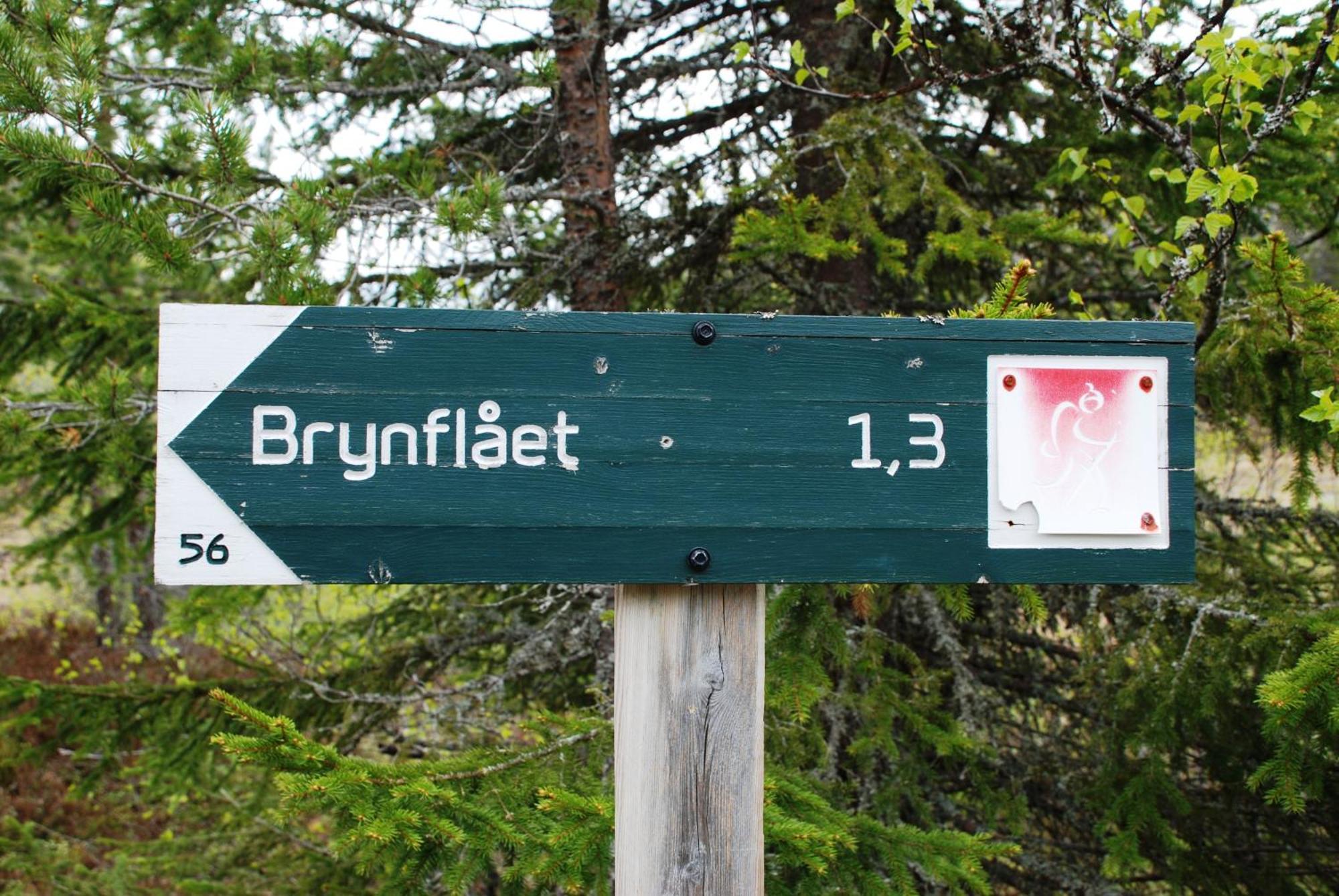 16 - Fulufjellets Nasjonalparker - Natur-, Dyre- Og Fugleopplevelser Ljørdal Esterno foto