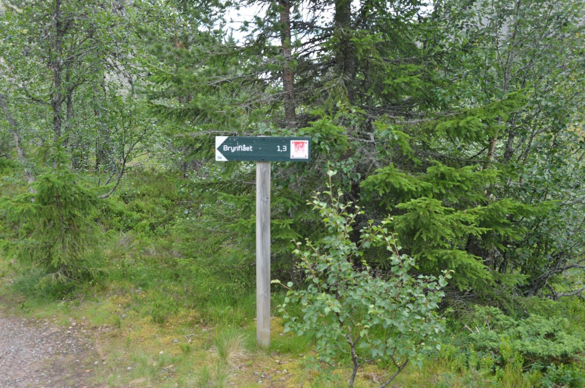 16 - Fulufjellets Nasjonalparker - Natur-, Dyre- Og Fugleopplevelser Ljørdal Esterno foto