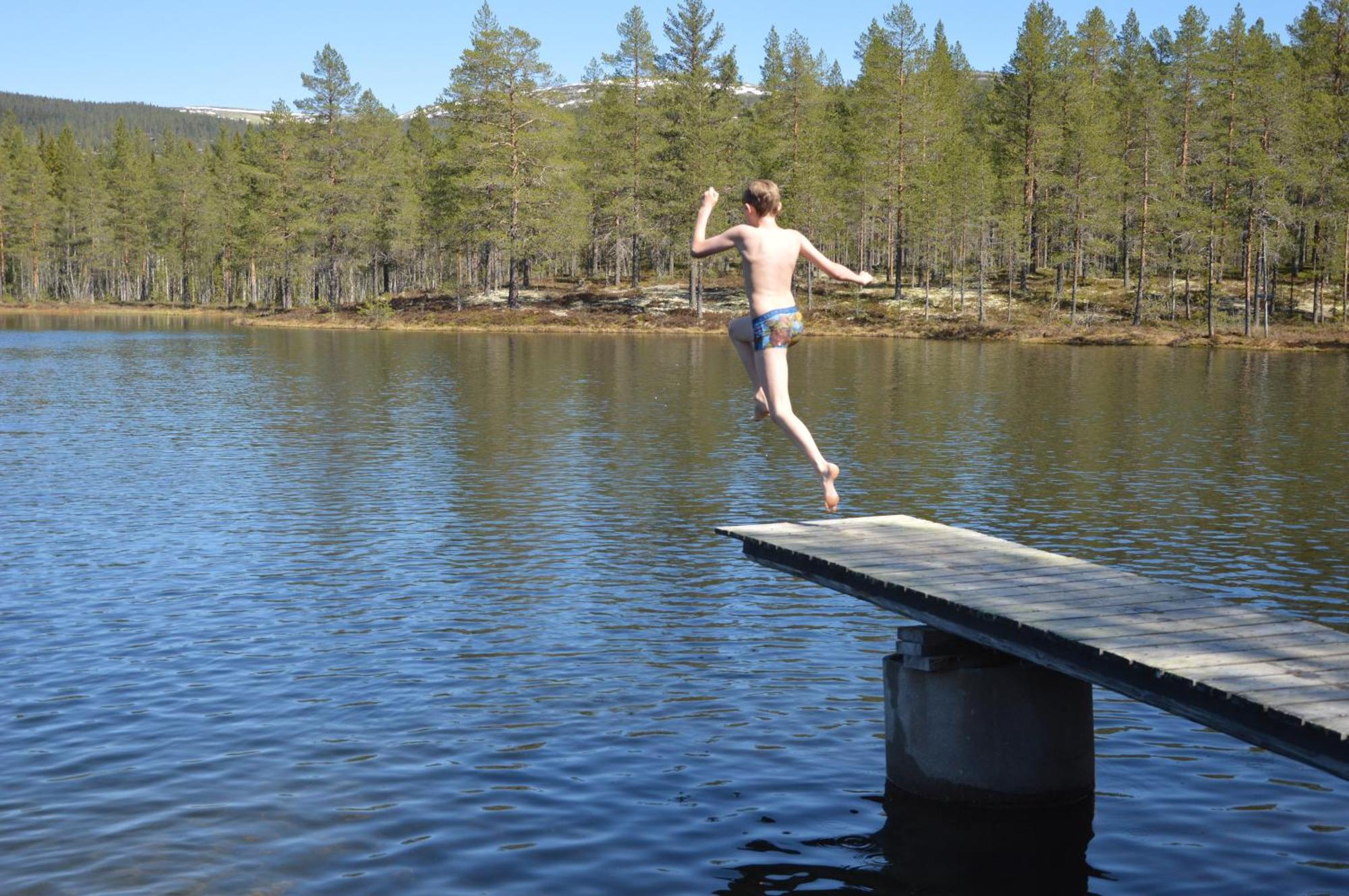 16 - Fulufjellets Nasjonalparker - Natur-, Dyre- Og Fugleopplevelser Ljørdal Esterno foto