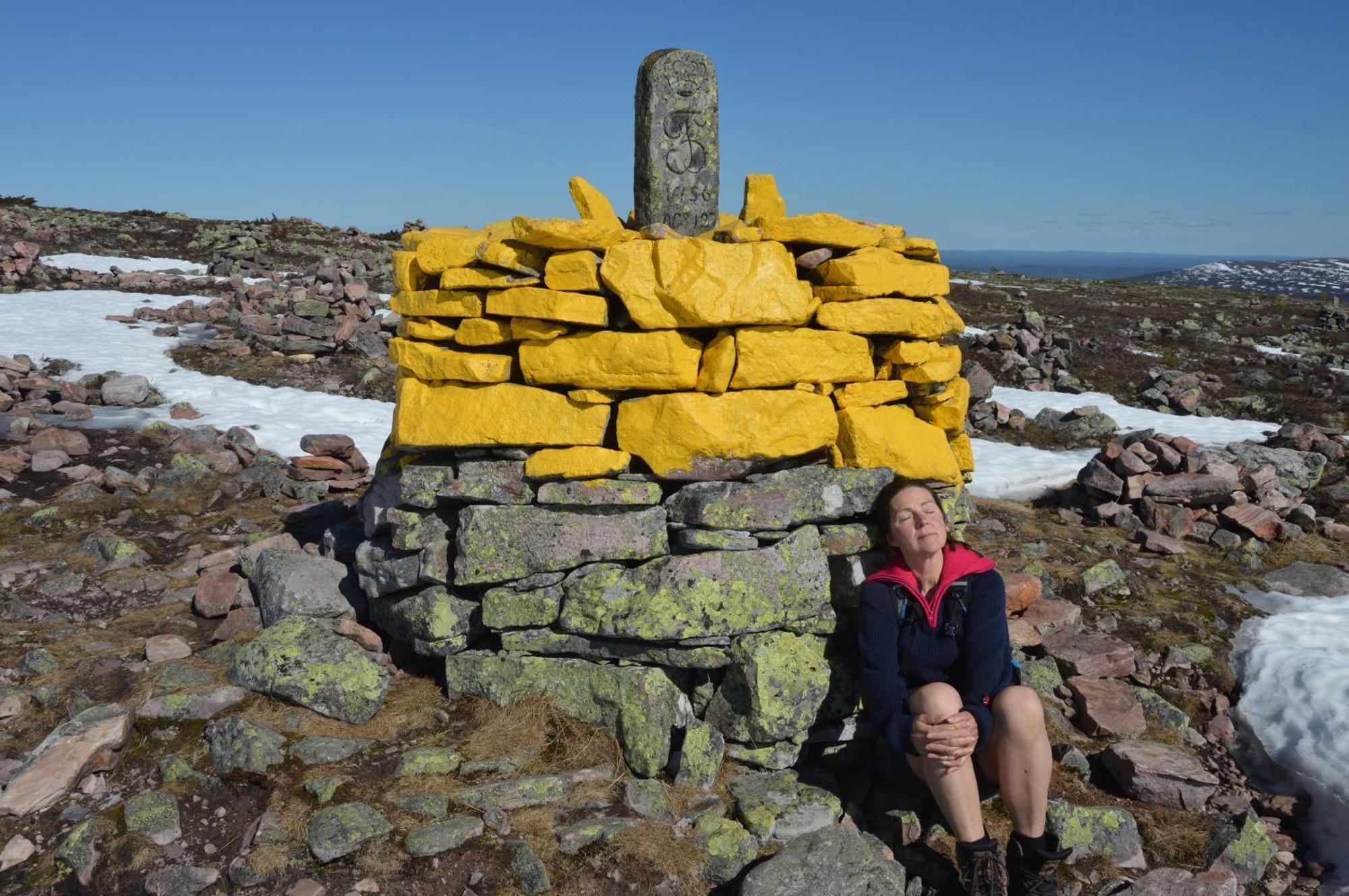 16 - Fulufjellets Nasjonalparker - Natur-, Dyre- Og Fugleopplevelser Ljørdal Esterno foto