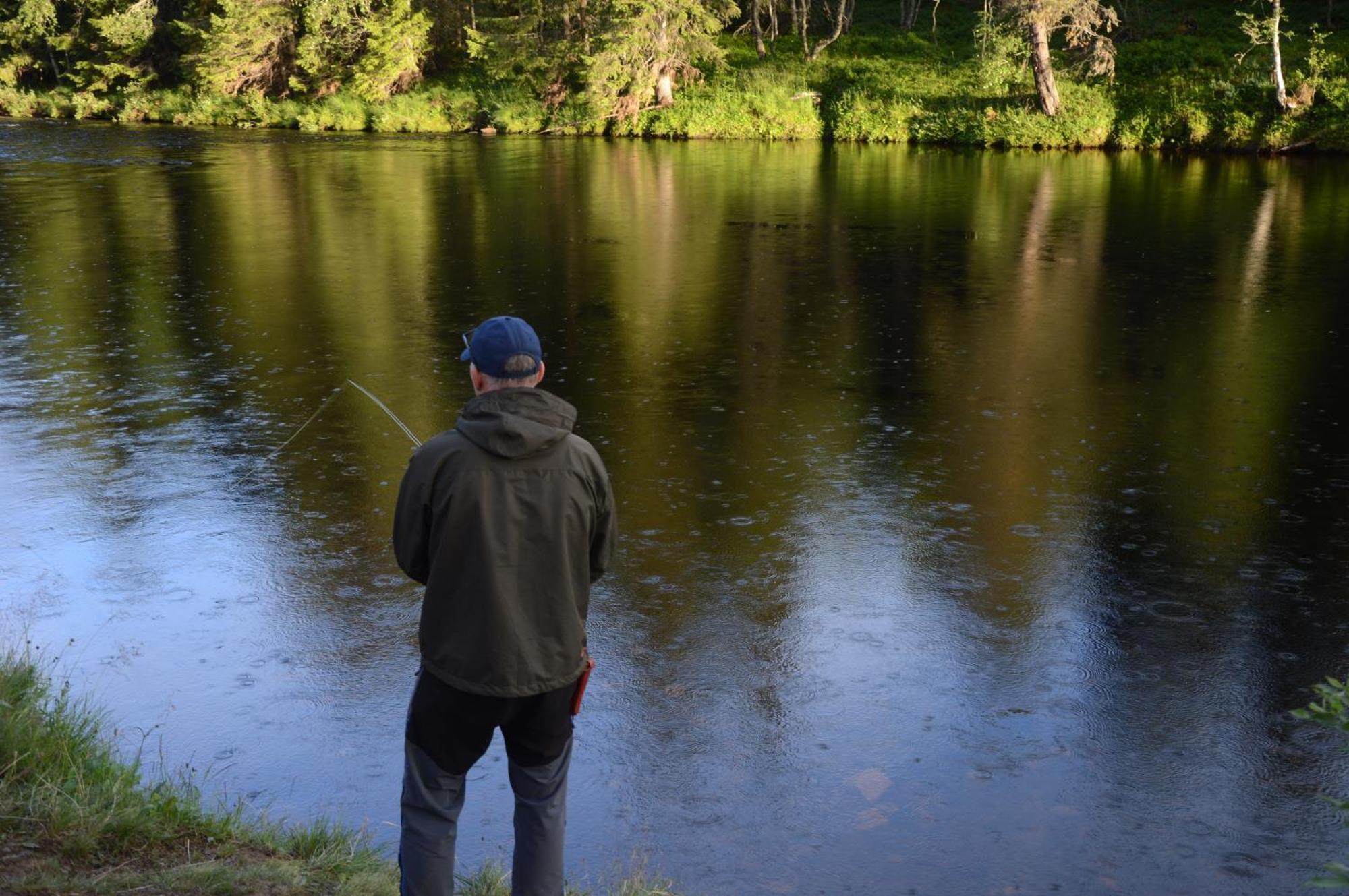 16 - Fulufjellets Nasjonalparker - Natur-, Dyre- Og Fugleopplevelser Ljørdal Esterno foto