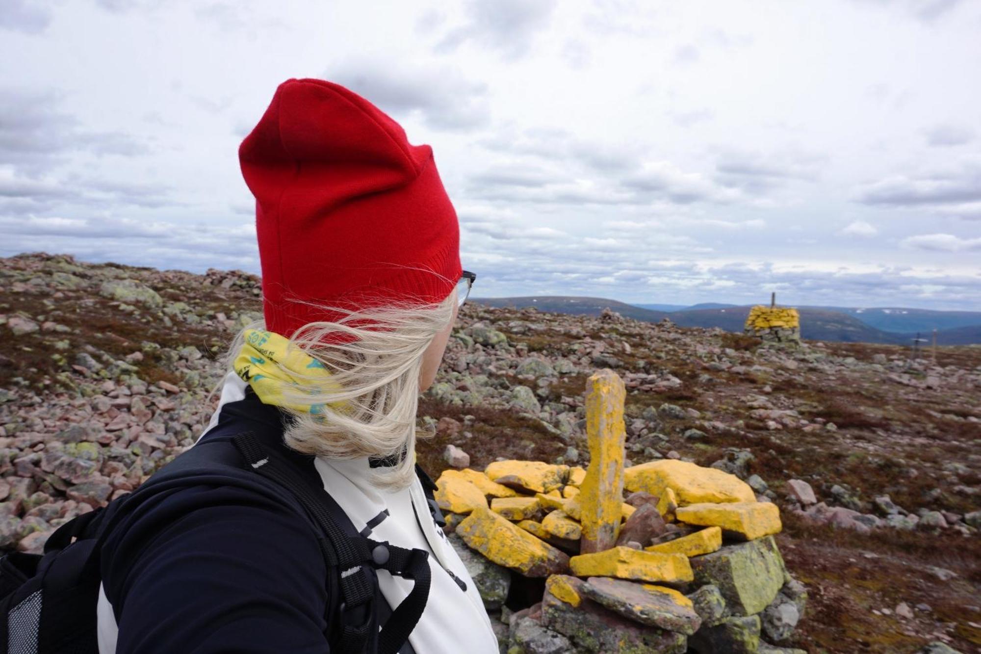 16 - Fulufjellets Nasjonalparker - Natur-, Dyre- Og Fugleopplevelser Ljørdal Esterno foto