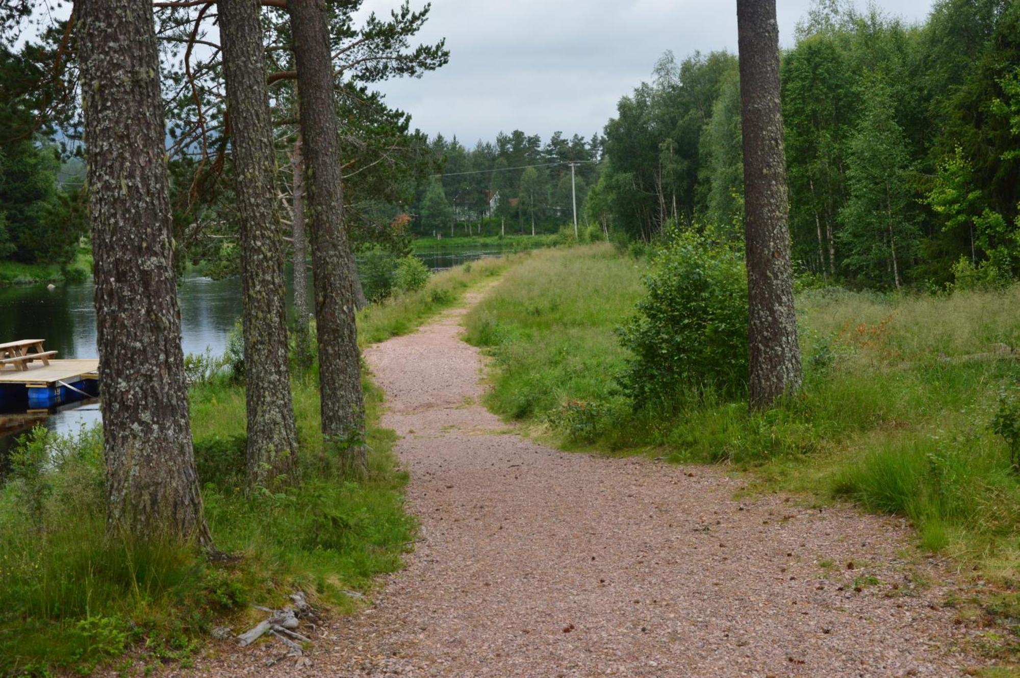 16 - Fulufjellets Nasjonalparker - Natur-, Dyre- Og Fugleopplevelser Ljørdal Esterno foto