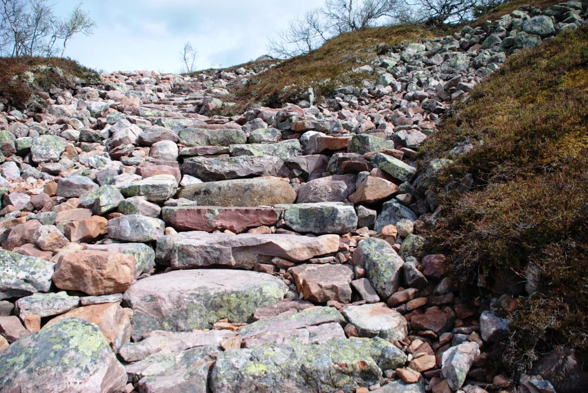 16 - Fulufjellets Nasjonalparker - Natur-, Dyre- Og Fugleopplevelser Ljørdal Esterno foto