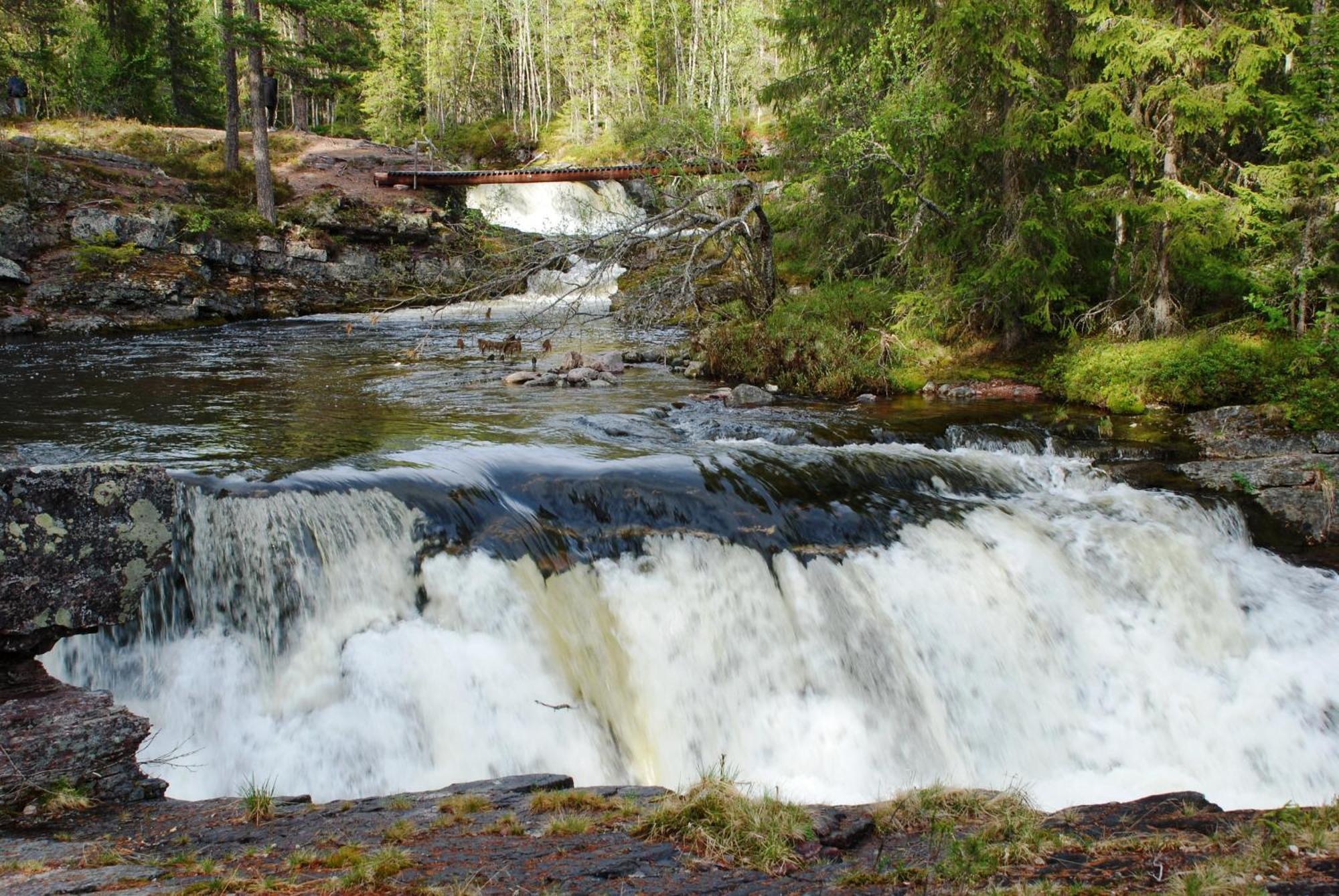 16 - Fulufjellets Nasjonalparker - Natur-, Dyre- Og Fugleopplevelser Ljørdal Esterno foto