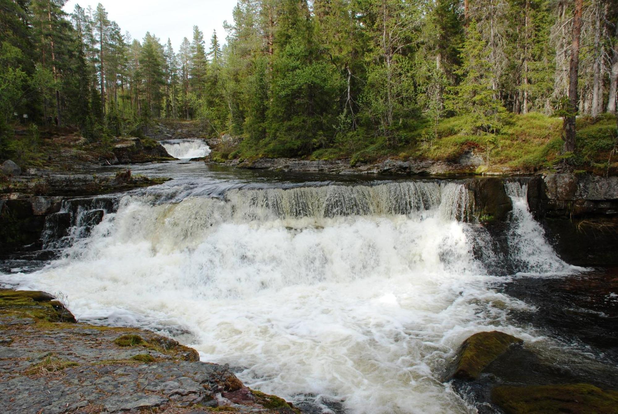 16 - Fulufjellets Nasjonalparker - Natur-, Dyre- Og Fugleopplevelser Ljørdal Esterno foto