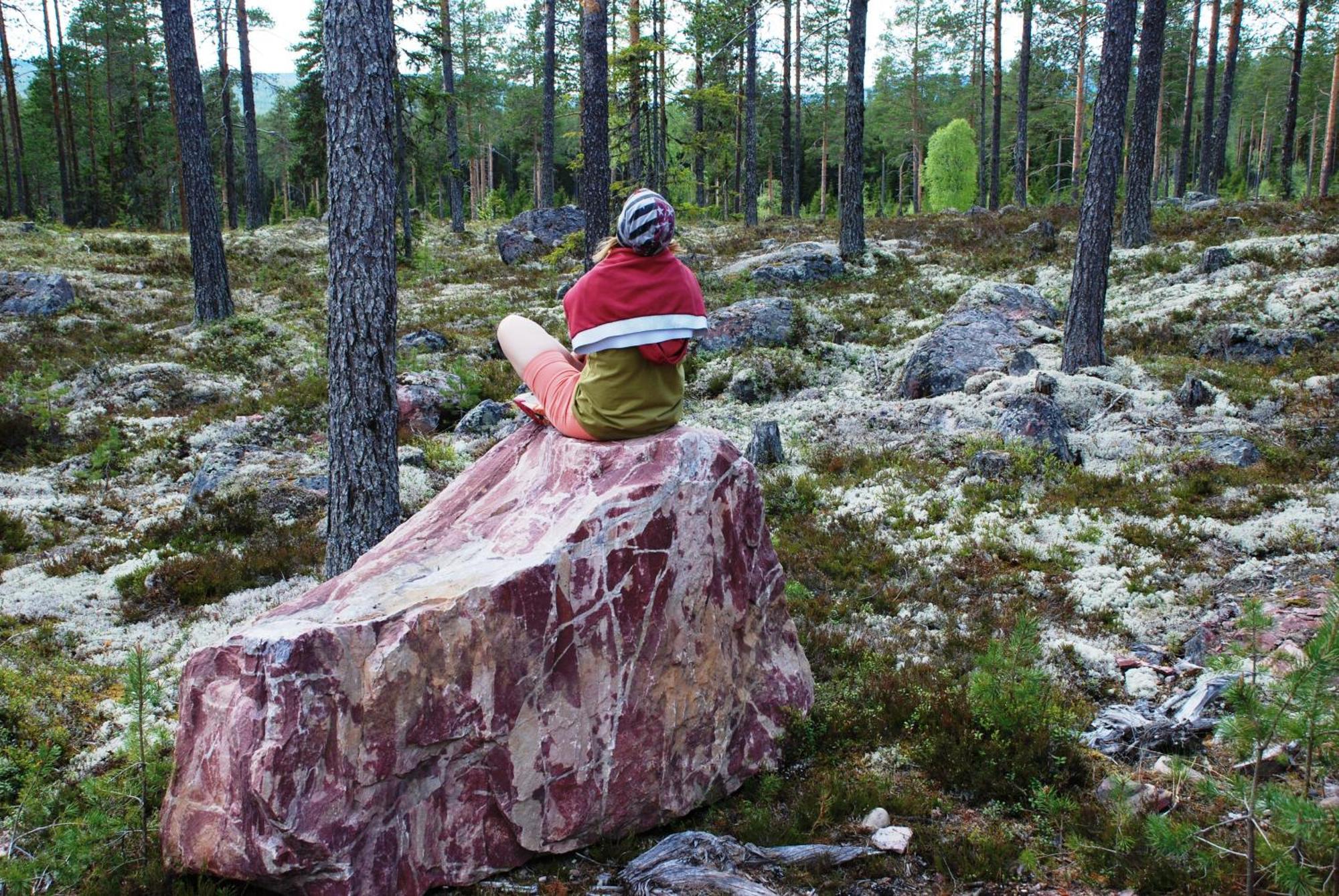 16 - Fulufjellets Nasjonalparker - Natur-, Dyre- Og Fugleopplevelser Ljørdal Esterno foto